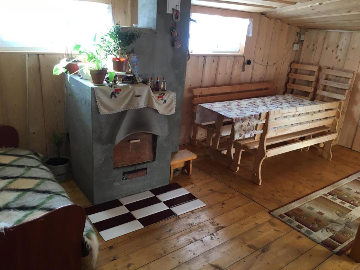 У Ондраша Appartement Yasinya Buitenkant foto